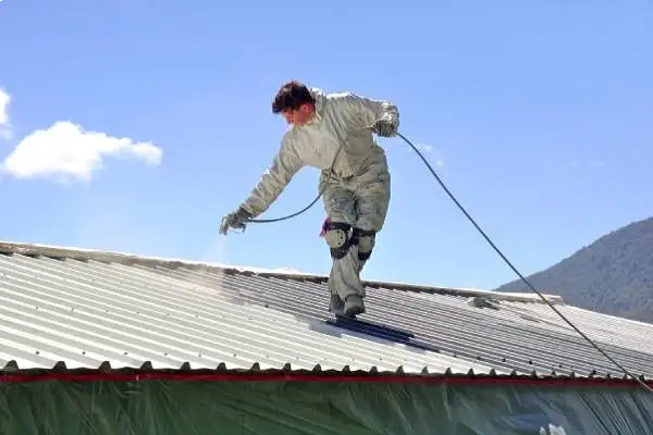 Roof Coating